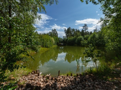 4 Bedrooms, Загородная, Продажа, Listing ID 2011, Московская область, Россия,