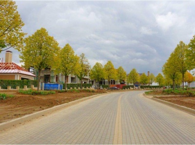 3 Bedrooms, Загородная, Продажа, Listing ID 2105, Московская область, Россия,