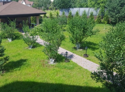5 Bedrooms, Загородная, Аренда, Listing ID 2107, Московская область, Россия,