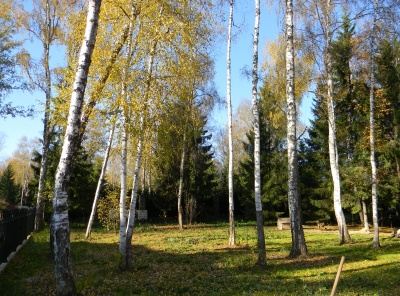 4 Bedrooms, Загородная, Аренда, Listing ID 2132, Московская область, Россия,