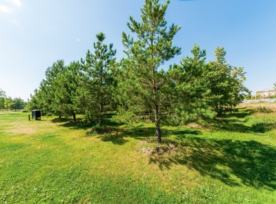 Загородная, Продажа, Listing ID 2353, Московская область, Россия,