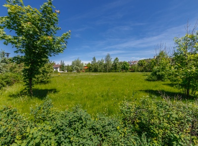 5 Bedrooms, Загородная, Аренда, Listing ID 1113, Московская область, Россия,