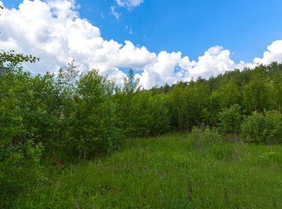 Загородная, Продажа, Listing ID 2614, Московская область, Россия,