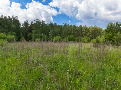 Загородная, Продажа, Listing ID 2614, Московская область, Россия,