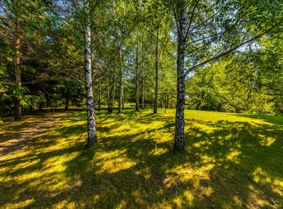 5 Bedrooms, Загородная, Продажа, Listing ID 2834, Московская область, Россия,