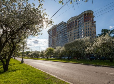 3 Комнаты, Городская, Продажа, Мичуринский проспект, Listing ID 2845, Москва, Россия,