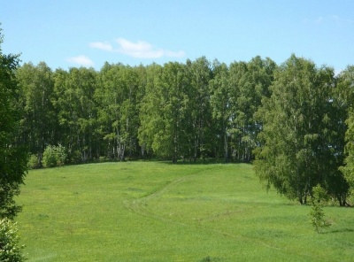 Загородная, Продажа, Listing ID 2940, Московская область, Россия,