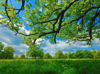 Загородная, Продажа, Listing ID 2940, Московская область, Россия,