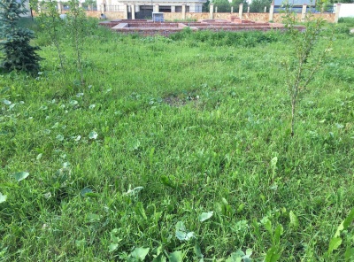 Загородная, Продажа, Listing ID 2974, Московская область, Россия,