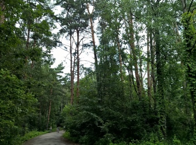 5 Комнаты, Городская, Продажа, Улица 2-я Лыковская, Listing ID 3279, Москва, Россия,