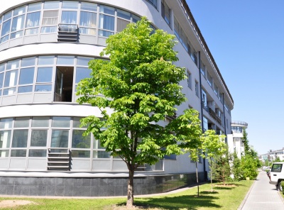 4 Комнаты, Городская, Продажа, Островной проезд, Listing ID 3820, Москва, Россия,