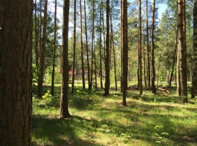Загородная, Продажа, Listing ID 3869, Московская область, Россия,