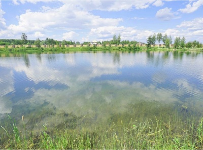 5 Bedrooms, Загородная, Продажа, Listing ID 1275, Московская область, Россия,