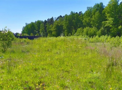 Загородная, Продажа, Listing ID 4184, Московская область, Россия,