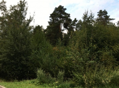 Загородная, Продажа, Listing ID 4780, Московская область, Россия,