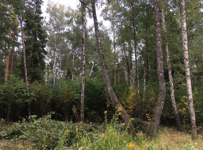 Загородная, Продажа, Listing ID 4781, Московская область, Россия,