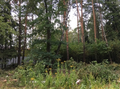 Загородная, Продажа, Listing ID 4781, Московская область, Россия,