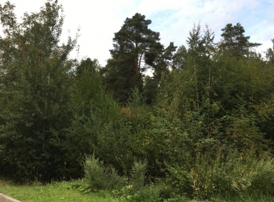 Загородная, Продажа, Listing ID 4781, Московская область, Россия,