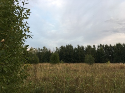 Загородная, Продажа, Listing ID 4782, Московская область, Россия,