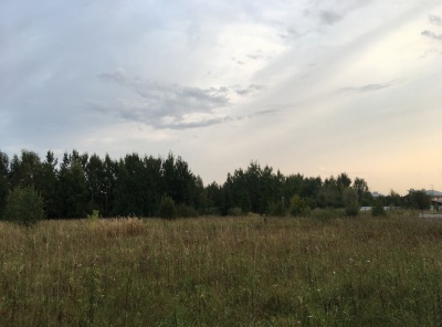 Загородная, Продажа, Listing ID 4783, Московская область, Россия,