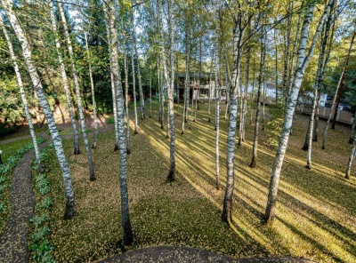 6 Bedrooms, Загородная, Продажа, Listing ID 1361, Московская область, Россия,