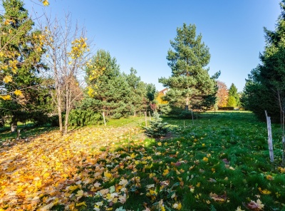 6 Bedrooms, 7 Комнаты, Загородная, Аренда, Listing ID 4956, Московская область, Россия,