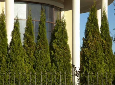 4 Bedrooms, Загородная, Продажа, Listing ID 4971, Московская область, Россия,