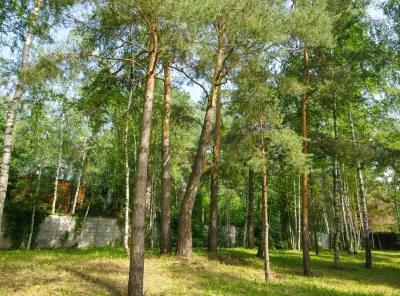 Загородная, Продажа, Listing ID 5003, Московская область, Россия,