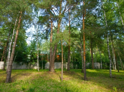 Загородная, Продажа, Listing ID 5003, Московская область, Россия,