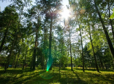 Загородная, Продажа, Listing ID 5003, Московская область, Россия,