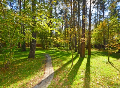 Загородная, Аренда, Listing ID 5053, Московская область, Россия,