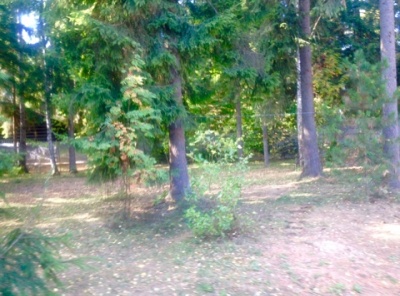 Загородная, Продажа, Listing ID 5127, Московская область, Россия,