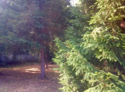 Загородная, Продажа, Listing ID 5127, Московская область, Россия,