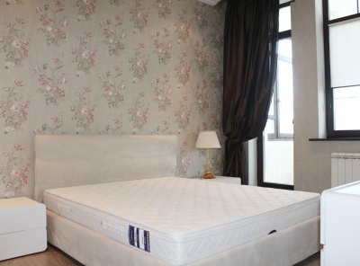 1 Bedrooms, 2 Комнаты, Загородная, Аренда, Listing ID 5428, Московская область, Россия,