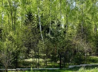 4 Bedrooms, Загородная, Продажа, Listing ID 1437, Московская область, Россия,