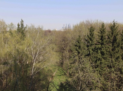 5 Комнаты, Городская, Продажа, Улица Староволынская, Listing ID 5956, Москва, Россия,