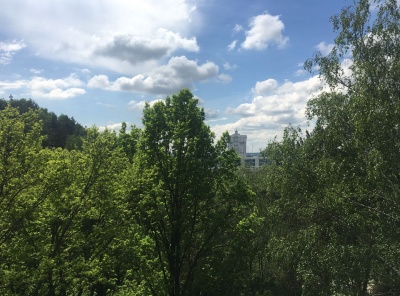 3 Комнаты, Городская, Продажа, Улица Согласия, Listing ID 5995, Москва, Россия,