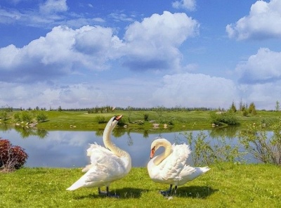 Загородная, Продажа, Listing ID 6050, Московская область, Россия,