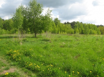 3 Bedrooms, 4 Комнаты, Загородная, Продажа, Listing ID 6238, Московская область, Россия,