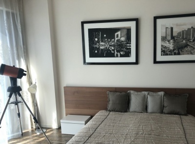 Городская, Аренда, Пресненская набережная, Listing ID 6816, Москва, Россия,