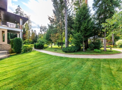 6 Bedrooms, Загородная, Продажа, Listing ID 6955, Московская область, Россия,