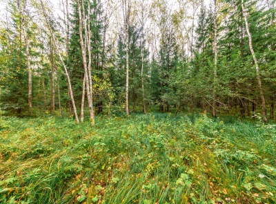 Загородная, Продажа, Listing ID 6956, Московская область, Россия,