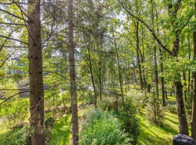 3 Комнаты, Городская, Продажа, Улица Согласия, Listing ID 7015, Москва, Россия,