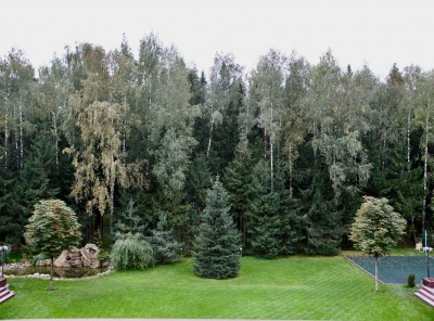 7 Bedrooms, Загородная, Аренда, Listing ID 7047, Московская область, Россия,