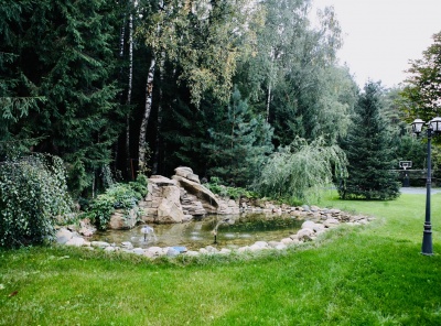 7 Bedrooms, Загородная, Аренда, Listing ID 7047, Московская область, Россия,