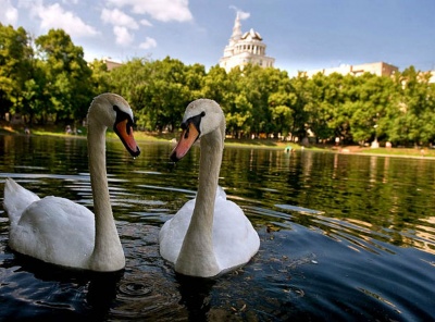 4 Комнаты, Городская, Аренда, Улица Большая садовая, Listing ID 1879, Москва, Россия,